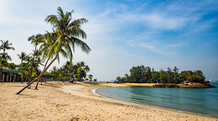 cau-lac-bo-bai-bien-tanjong